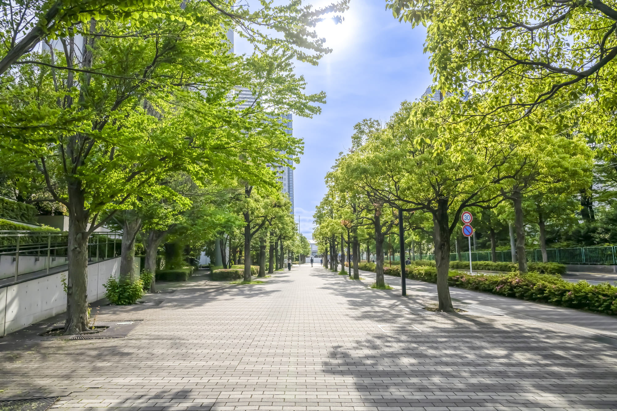 小学校区や生活動線を考慮