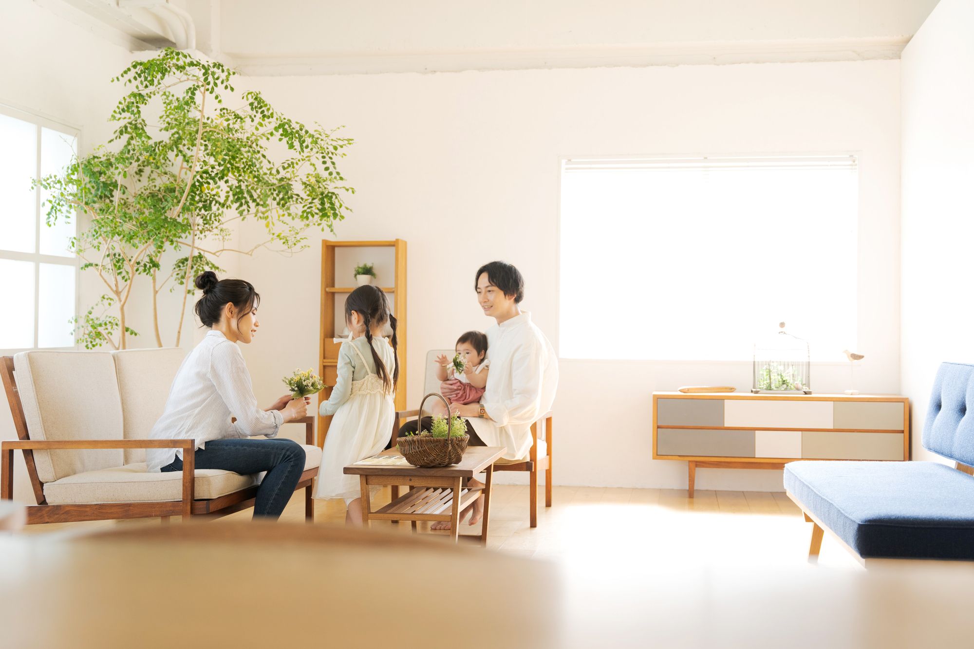 自己居住・活用